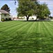 Lawn Maintenance & Care